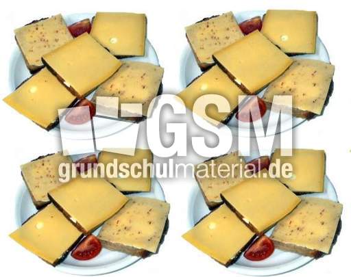 Schnitten-4x5.jpg